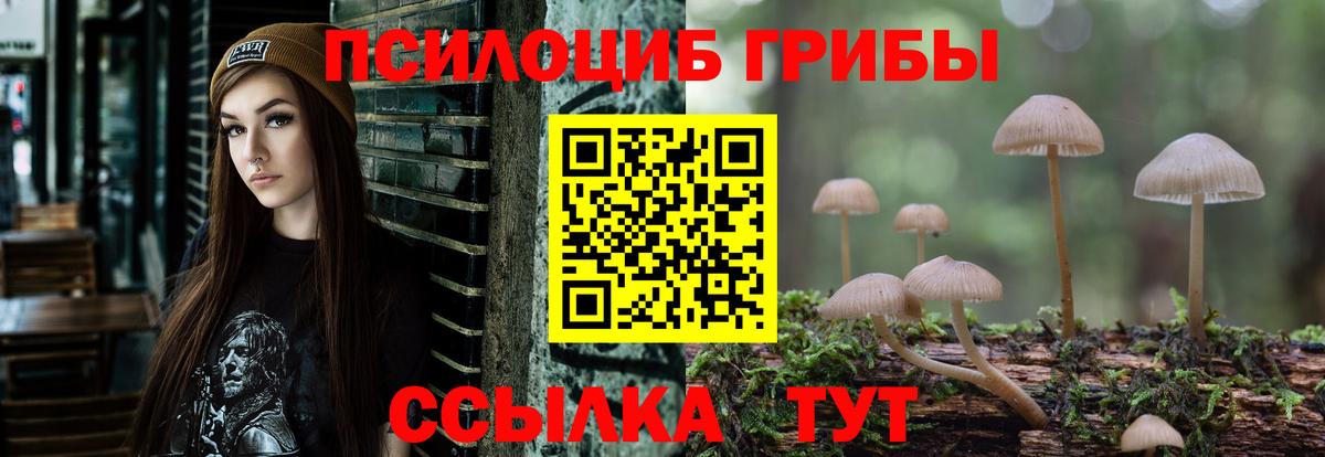 Галлюциногенные грибы ЛСД  Галлюциногенные грибы прущие грибы  Вход с VPN  Всеволожск 